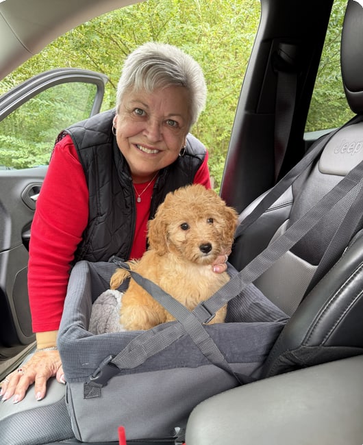 Toulouse, now Daisey, buckled into her own car seat on Peggy’s lap